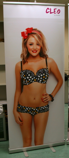 CLEO kuvatelne CLEO kuvatelne