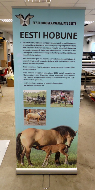 Kaksipuolinen Roll up Eesti hobune Kaksipuolinen Roll up Eesti hobune