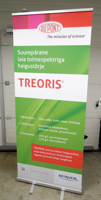 Rollup Treoris Rollup Treoris