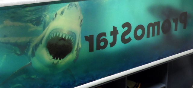 Akvaariotarra hai Promostarissa Akvaariotarra hai Promostarissa