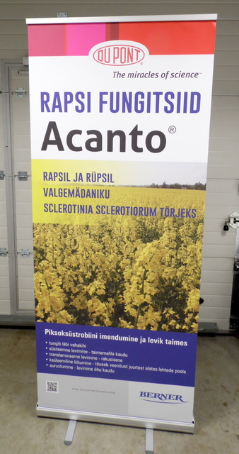 Rollup Acanto Rollup Acanto