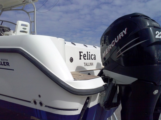 Venatarra Felica Venatarra Felica