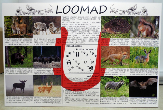 Bip levy kyltti tarralla Bip levy kyltti tarralla