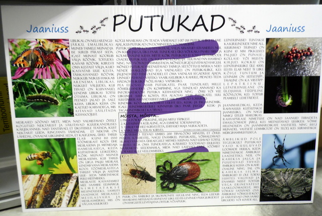 Bip levy kyltti Bip levy kyltti