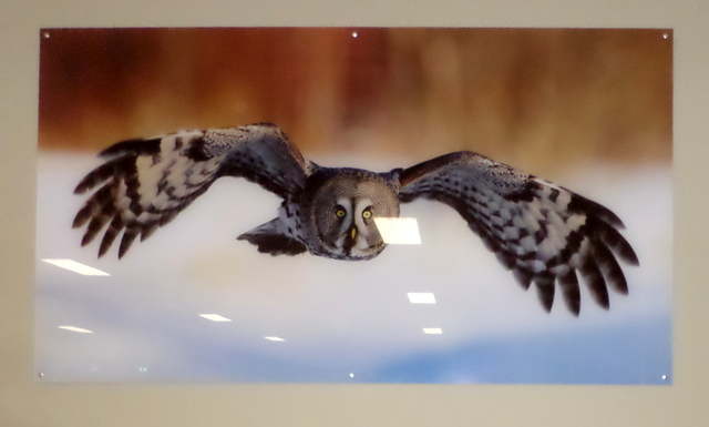 Pleksilasista kyltti Pleksilasista kyltti